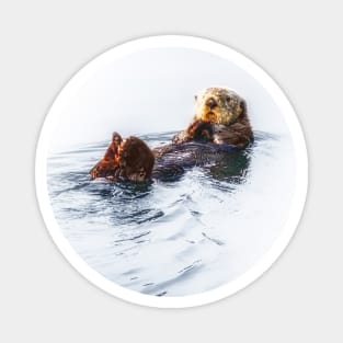 Sea Otter Magnet
